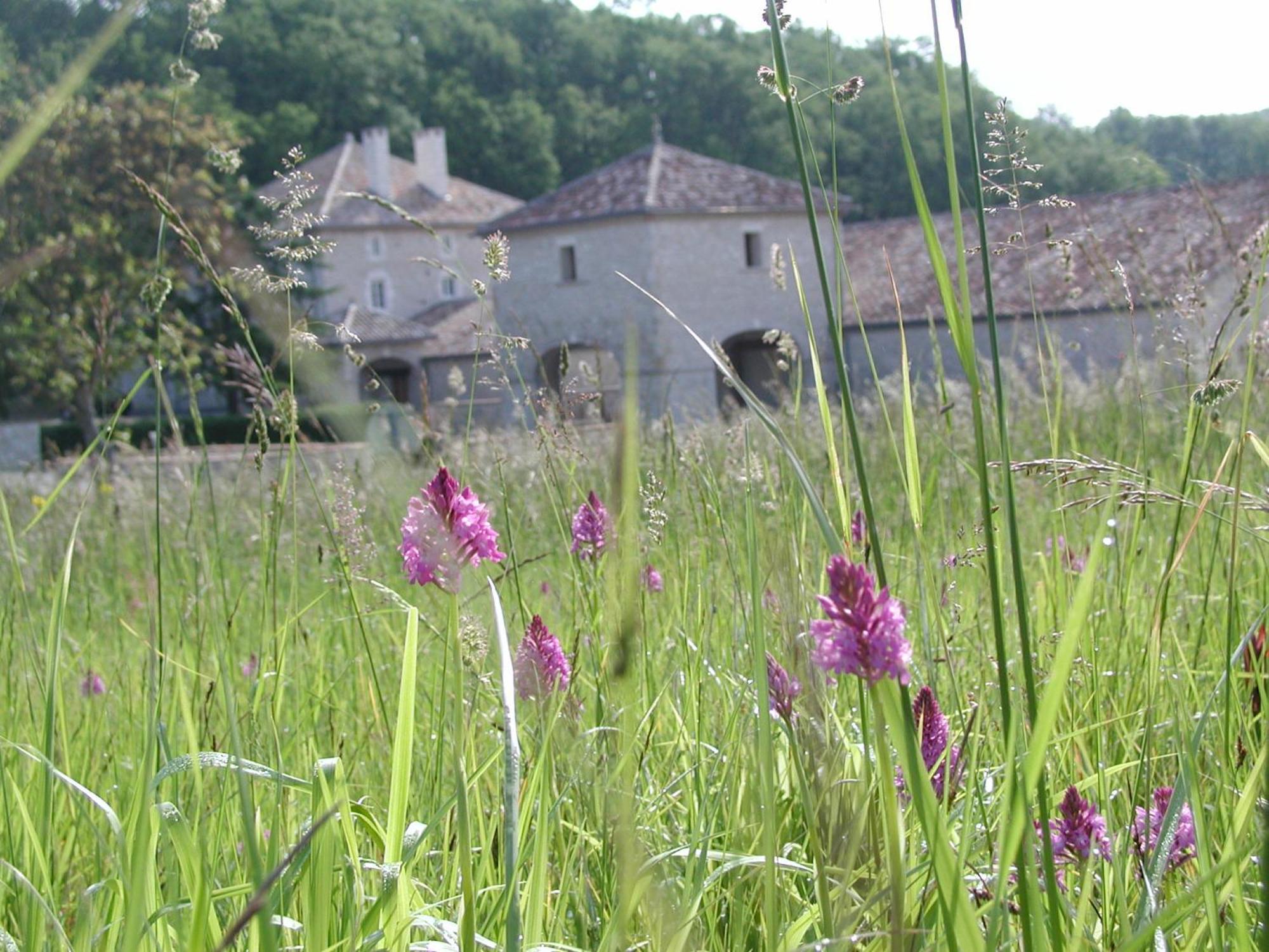 Chateau Lecusse - La Grande Roche - Hotel, Spa, Boutique & Restaurant Broze 외부 사진