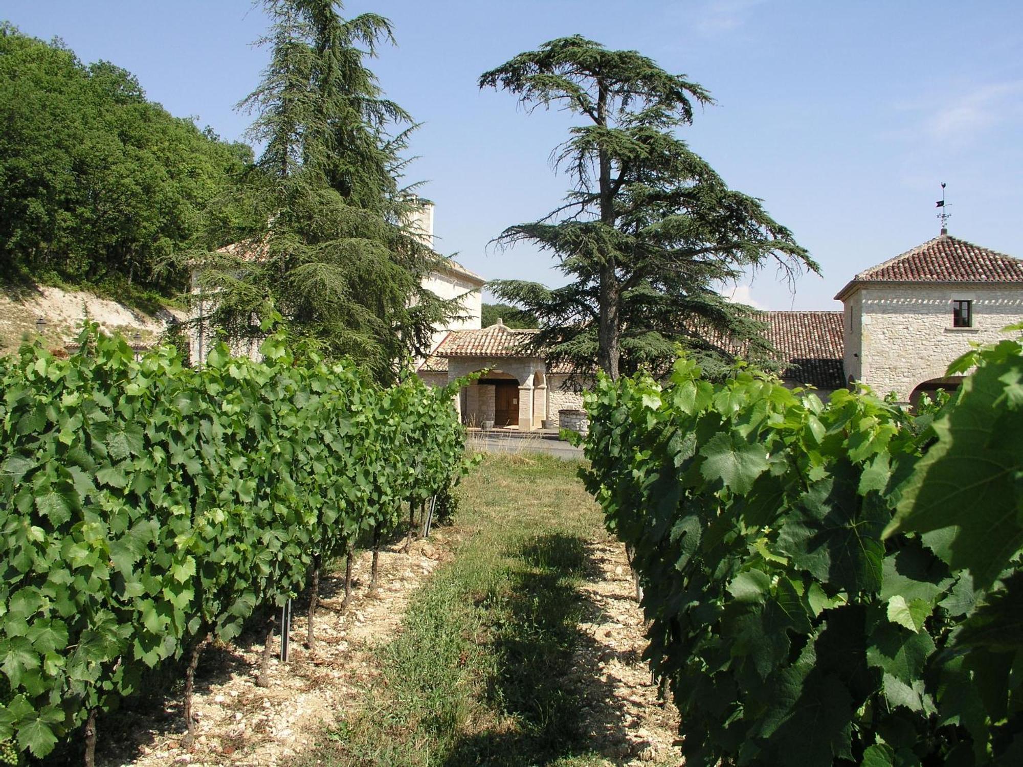 Chateau Lecusse - La Grande Roche - Hotel, Spa, Boutique & Restaurant Broze 외부 사진